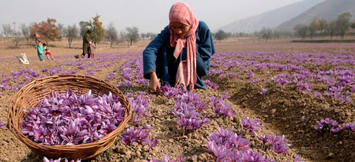Agricalture